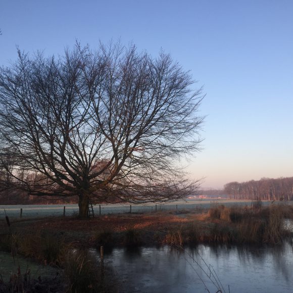 Winter: KinderKompaskaart van januari